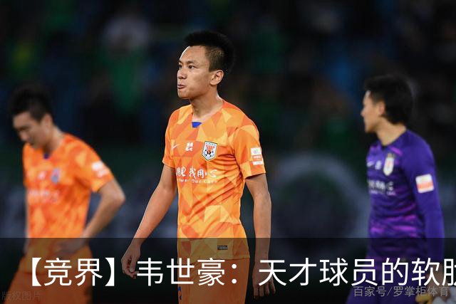【竞界】韦世豪：天才球员的软肋 洪七公效应的外溢